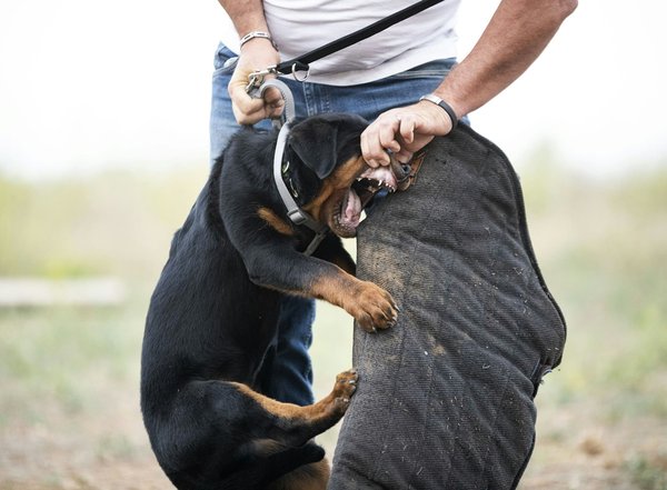 What are the key considerations when selecting a child car seat for a compact car in the UK?